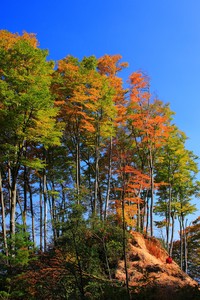 曼联主场击败水晶宫，继续缩小差距