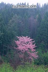 利物浦客场-击败富勒姆，保持不败