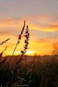 斯洛文尼亚队希望取得一场重要的比赛胜利