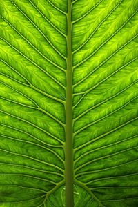 斯图加特主场抢分，全队斗志高昂！